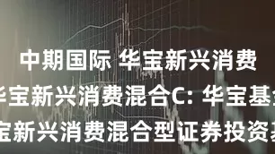 中期国际 华宝新兴消费混合A,华宝新兴消费混合C: 华宝基金关于华宝新兴消费混合型证券投资基金新增国元证券股份有限公司为代销机构的公告