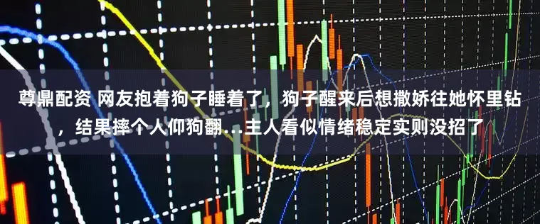 尊鼎配资 网友抱着狗子睡着了,狗子醒来后想撒娇往她怀里钻,结果摔个人仰狗翻…主人看似情绪稳定实则没招了